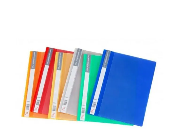Management File A4 Size, Transparent with Colored Background with Punch ...