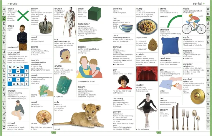 Children's%20Illustrated%20Dictionary%20(DK%20First%20Reference)%20Paperback%20-%20Image%203