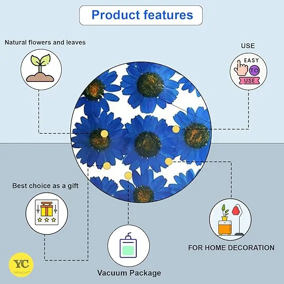 1%20pack%20White%20Daisy%20Flowers%20-%20Dried%20Pressed%20flowers%20for%20Resin%20Art%20-%20Image%204