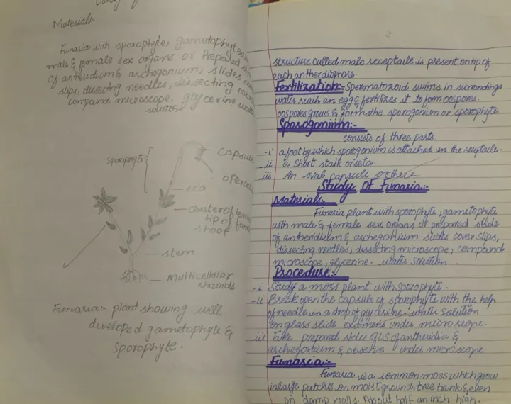 Handwritten%20Solved%20Practical%20Notebooks%20for%20Intermediate%20Checked%20%20Class%2011%20&%2012%20%20Physics,%20Chemistry,%20Biology,%20Computer%20-%20Image%206