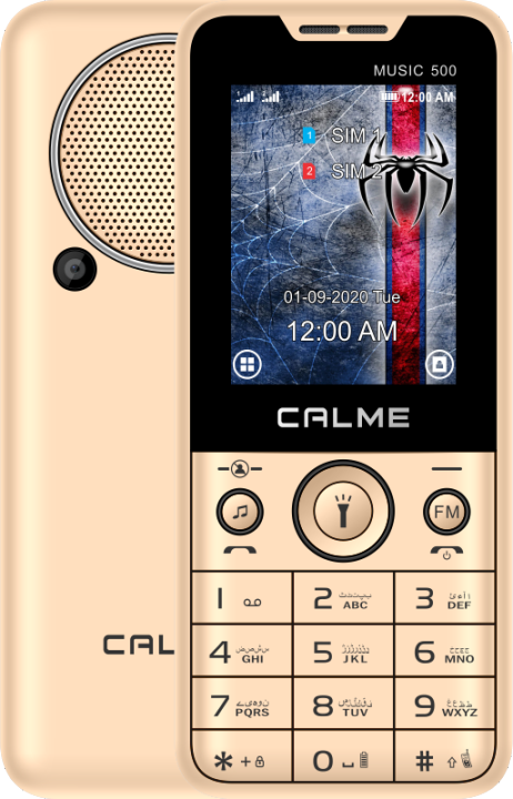 CALME Music 500 - 2.4 Inch - 3000mAh Battery - Dual Sim