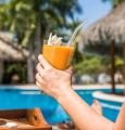 Techmanistan Set of 4 - Reusable Glass Straws With Cleaning Brush, Glass Drinking Straws. 