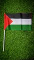 Premium Quality Palestine Flag (3 Pieces) Small Palestine Flag Palestine Gaza Flag Hand Flag Best Quality Flag In Very Low Price Premium Flag. 