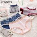 ECHIDNA Lace Schoolgirl Panties Japanese Style Lace Edge Soft Breathable Lady Briefs Mid Waist Anti-septic Underpants for Daily Sports Buyers' Favorite Japanese Style Underwear. 