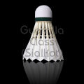 Pack Of 12 Feather Badminton Shuttlecocks with Great Stability and Durability, Indoor Badminton Court Birdies. 