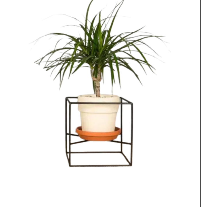1 Metal Cube Plant Stands, Wire Plant Pot Stand, Metal Plant Holder, Flower Pot Stand, Steel Wall Hanger, Minimalist Plant Stand Customized by HB Steel Fixerr