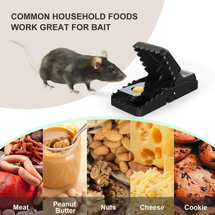 2pcs%20Reusable%20Plastic%20Mouse%20Trap%20Rat%20Mice%20Catching%20Small%20Rat%20Traps%20Mouse%20Pest%20Killer%20Mouse%20Snap%20Traps%20Rodent%20Catcher%20for%20Home%20-%20Image%203
