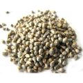 Grain Forests Organic Bajra Whole Grain 1kg (Pearl Millet). 