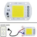 1/2/5/10 PCS 50W LED Drive-Free COB Chip Lamp 220V WHITE High BrightNESS Long Life. 
