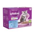Whiskas Sachet Kitten Fish Selection Jelly - 85gm - Cat Food. 