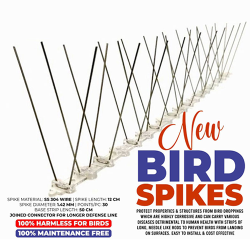 Bird Deterrent Steel Spikes, Bird Control (12-inch & 20-inch) | Daraz.pk