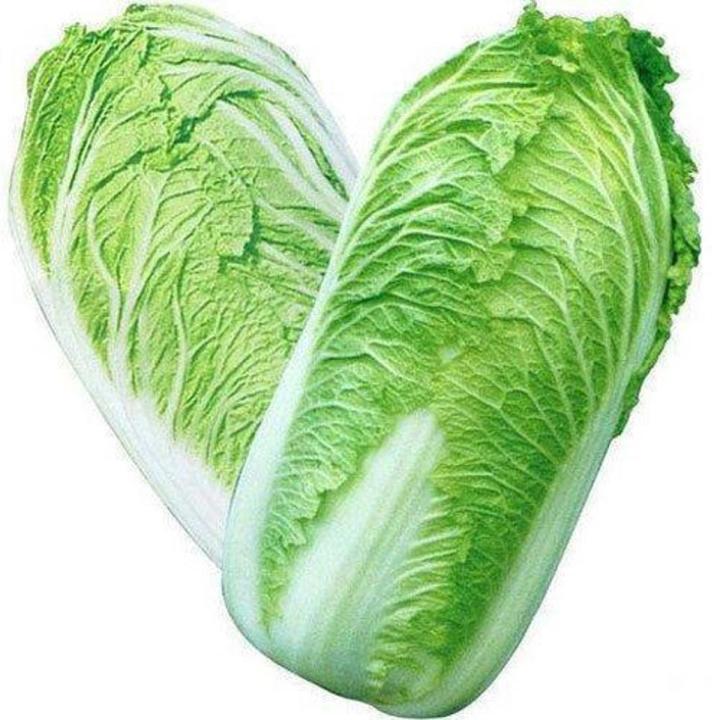 F-1 HYBRID CHINESE CABBAGE SEED kitchen gardening
