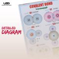 Covalent Bond Presentation on Wall Charts | Chemistry Wall Chart for School and College Decoration on 200 grams Laminated Card 23*36. 