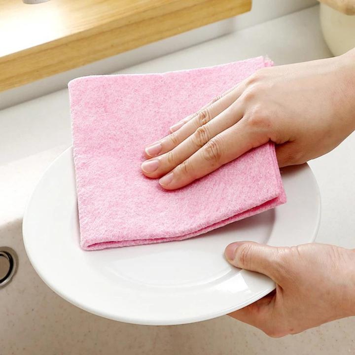 Coconut Shell Rag Super Absorbent Plant Fiber Kitchen Cloth Efficient Tableware Household Cleaning Towel Kitchen Gadget