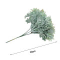 Plant No Watering False Cottonrose Hibiscus Leaf Green Plant. 