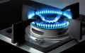 FOTILE Built-in Gas Hob GAG86309 EPS - 86309. 