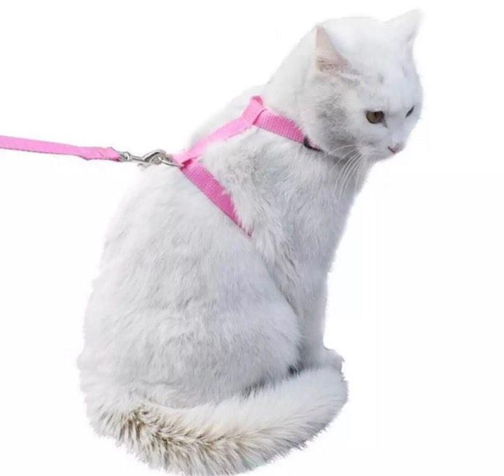 Harness%20+%20leash%20Nylon%20For%20Cats%20-%20Image%203