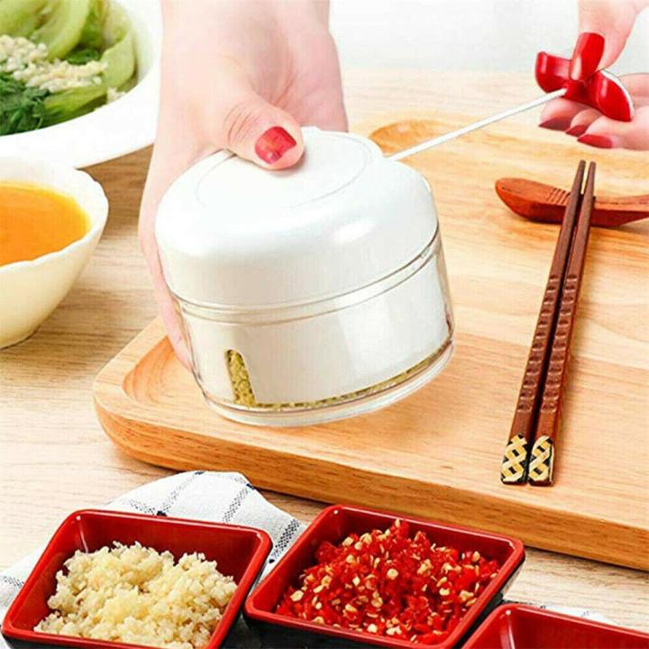Mini Speedy Chopper Hand Pulled type Mini Meat Mincer Ginger & Garlic Chopper Mini Nicer Dicer Multifunctional White Color Original & Imported