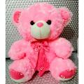 Teady Bear Stuff toy (13 inches). 