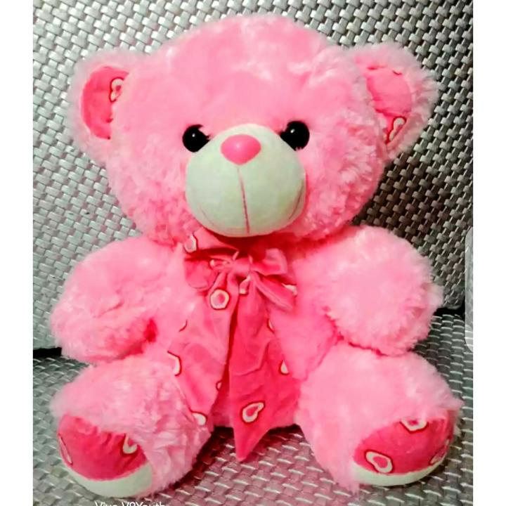 Teady Bear Stuff toy (13 inches)
