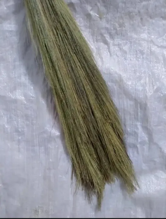 YYS%20Broom%20Stick%20Phool%20Jharo%201PCS%20%D9%BE%DA%BE%D9%88%D9%84%20%D8%AC%DA%BE%D8%A7%DA%91%D9%88%20Jharoo%20Jharu%20Feather%20Broom%20Sweeper%20Feather%20Duster%20Long%20Lasting%20Brooms%20-%20Image%204