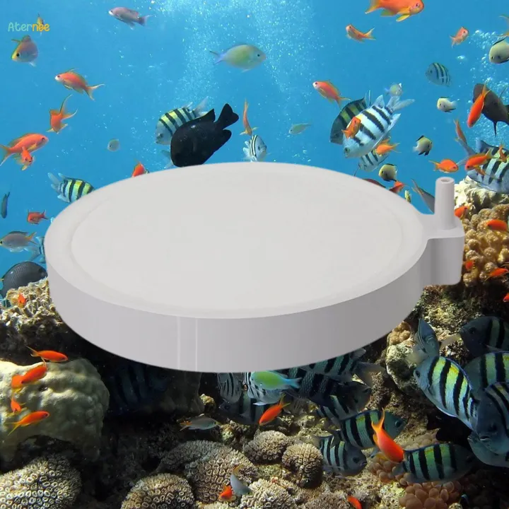 Aquarium%20Air%20Stones%20Round%20Air%20Stones%20Gas%20Plate%20Bubble%20Release%20Tool%20Pond%2010cm%20-%20Image%203