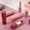 6pcs/lot Lip Kit Matte Lipstick Waterproof Velvet Stick Tint Nude Cosmetic Makeup Set Professional Korean Beauty Cosmetics Kpop. 