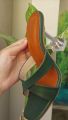 Green Heels for Women – Stylish Pumps, Stilettos & Sandals, Vibrant Emerald & Lime Shades, Comfortable & Versatile Footwear. 