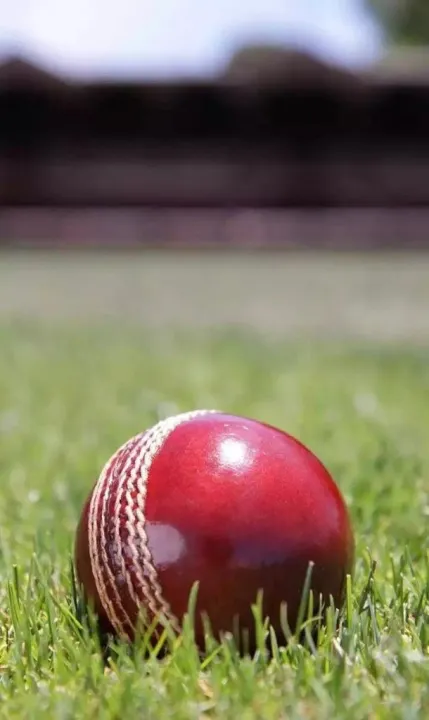 Professional%20Hard%20Ball%20For%20Cricket%20-%20Hardball%20Red/white%20-%20Image%203