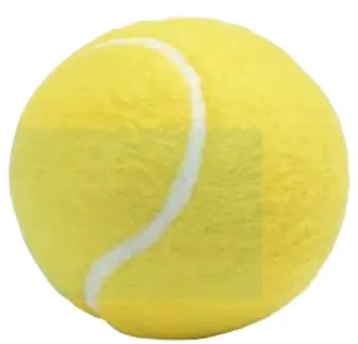 1%20Pc%20Tennis%20Ball%20Durable%20Practice%20Ball%20for%20Cricket%20&%20tennis.%20Rubber%20tennis%20balls%20-%20Image%202