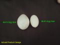 (9 or 18 Pcs) Artificial Plastic Eggs - Dummy eggs of Bird - Bird's Egg Size Plastic Hollow Shell. 