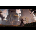 Horizon Zero Dawn Original PC Game (Steam). 