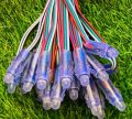 5 Inch String RGB Pixel Programmable LED WS2811. 