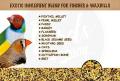 The Birds Company Exotic Seed Blend of 8 Grains, Fortified with Spirulina, Bird Food for Finches & Waxbills, 500 grams pack. 