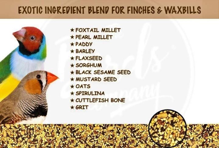 The%20Birds%20Company%20Exotic%20Seed%20Blend%20of%208%20Grains,%20Fortified%20with%20Spirulina,%20Bird%20Food%20for%20Finches%20&%20Waxbills,%20500%20grams%20pack%20-%20Image%203