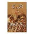 Bhagwat Geeta | Urdu Reading book | 190 Pages | Hard Cover. 