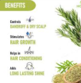Rosemary Leaves / Leaf Organic 50 Gram + Free Comb Bottle. 