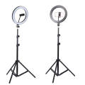 26cm Ring Light With Mobile Holder With 7Feet Tripod Stand in Three Different Mode Light. 