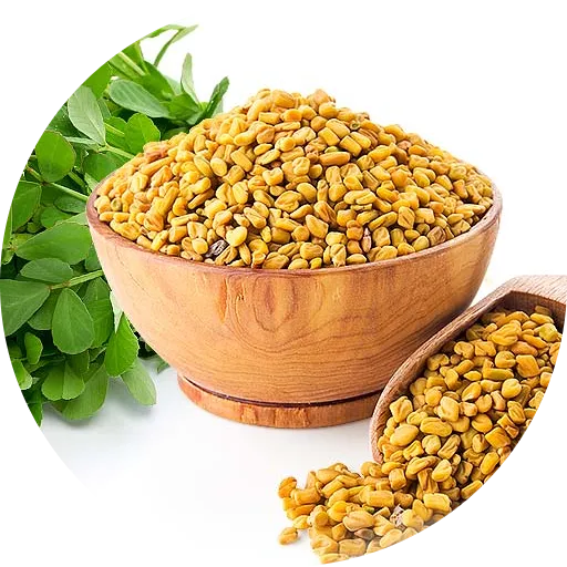Fenugreek%20Seeds(Methi%20Ke%20Beej)(%D9%85%DB%8C%D8%AA%DA%BE%DB%8C%20%DA%A9%DB%92%20%D8%A8%DB%8C%D8%AC)Desi/Germinated/Best%20Quality/Fast%20growing/Excellent%20Germination/High%20Quality/Healthy%20Vegetable%20Seeds/Vegetable/Home/Kitchen/Gardening%20seeds/beej/Vegetables%20Seeds%20Packet%20-%20Image%202