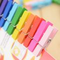 (10/20/30 Pcs) Mini Photo Hanging Pegs - Small Wooden Colorful Pegs - Decorative Pegs. 