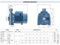 Pedrollo (Made In Italy) Water Transfer Pump. 