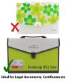 TRANBO Plastic Expanding Bag File Folder with 13 Section Pockets, FC Size, Green. 