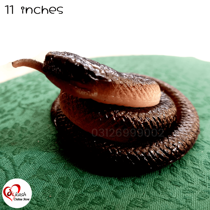 Realistic%20Artificial%20Rubber%20Snake%20-%20Big%20Size%2050%20Inch%20Fake%20Snake%20for%20Pranks%20&%20Toys%20-%20Perfect%20Rubber%20Snake%20Toy%20for%20Kids%20&%20Adults%20-%20Ideal%20for%20Fake%20Snake%20Pranks%20Daraz%20Pakistan%20-%20Image%202