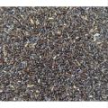 Lavender Seeds ( Herbs Seeds). 