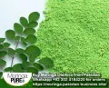 Moringa Powder Wholesale Bulk Rate 5kg (Moringa Pure Pakistan) For Resellers. 