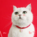 Dog Collar Bell Pendant Chinese New Year Pet Collar with Tag. 