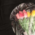 5Pcs Bobo Balloon Transparent Wide Application Plastic Super Large Bubble Balloon for Party. 