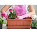 Pack Of 4 Piece Gardening Tools Set .. 