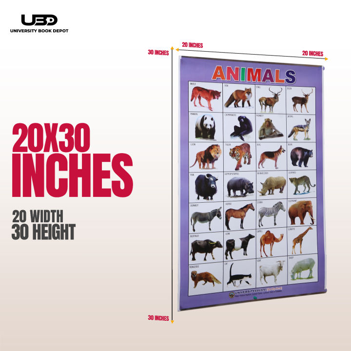 Pack%20of%208%20Wall%20Charts%20for%20Classrooms%20and%20Preschool%20Decoration%20%7C%20Wall%20Posters%20with%20HD%20Pictures%20for%20Kids%20Early%20Education%20on%20200%20Grams%20Laminated%20Card%2020*30%20inches%20-%20Image%204