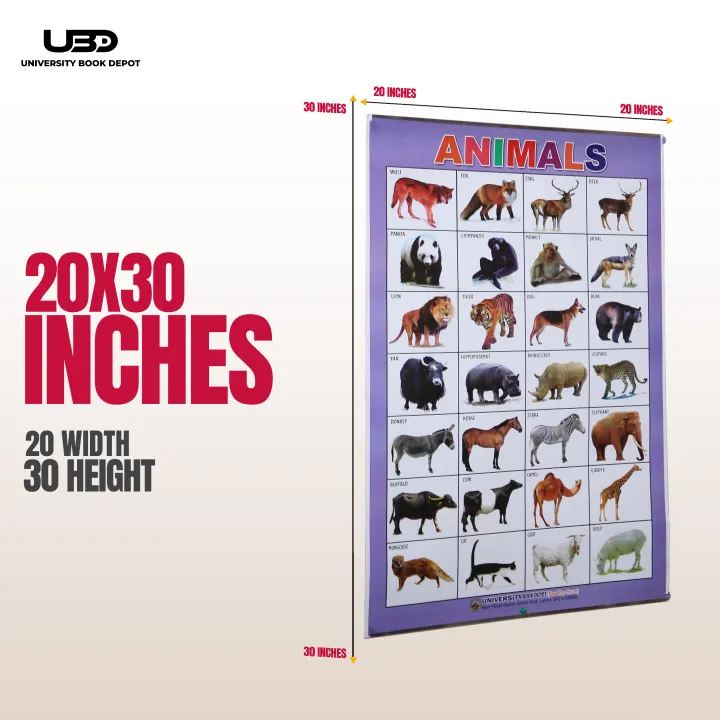 Pack%20of%204%20Wall%20Charts%20for%20Classrooms%20and%20Preschool%20Decoration%20%7C%20Wall%20Posters%20For%20Kids%20Early%20Education%20with%20HD%20Pictures%20on%20200%20grams%20Laminated%20Card%2020*30%20inches%20-%20Image%202